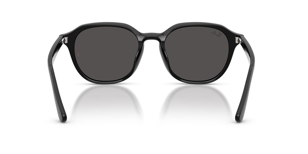 Ray-Ban RB 4459D 901/87